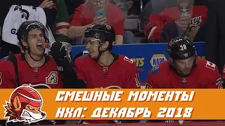 Самые курьёзные и смешные моменты НХЛ: декабрь 2018