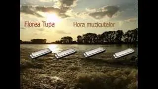 Hora muzicutelor - Florea Tupa
