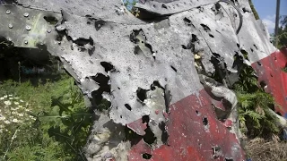 MH17: Год Молчания