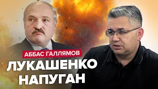 🔥ГАЛЛЯМОВ: Лукашенко заговорил о развале РФ / Замена ШОЙГУ уже есть! / ПУТИН не дотянет до выборов