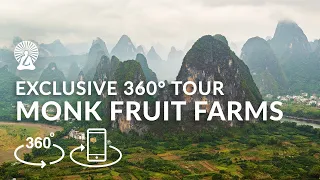 5K 360° VR Tour // Lakanto Monk Fruit Farms in Guilin China (2020)