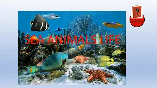 Quiz Book Episode 1 || Sea Animals Life Quiz Questions and Answers with details