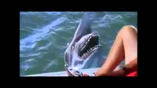 Decades of Horror: Malibu Shark Attack Sharks