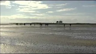 Wadden Sea in 60 secs | UNESCO World Heritage