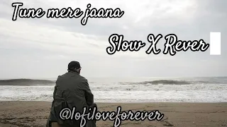 Tune Mere Jaana Kabhi Nahi Jaana || Emptiness || Gajendra Verma ||Slow X Reverb|| @lofiloveforever