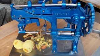 Best Apple peeler slicer Goodell Bonanza