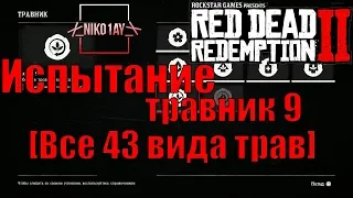 Red Dead Redemption 2 Испытание травник 9 [Все 43 вида трав]