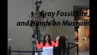 Gray Fossil Site and Hands On Museum