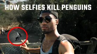 This is how SELFIES KILL PENGUINS.