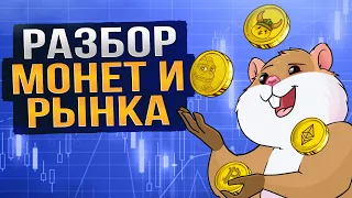 Будет ли альтсезон? Почему не покупаю PEPE? Разбор монет из чата.