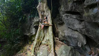 Shelter Under a Big Tree - Cooking in the Forest With Pets