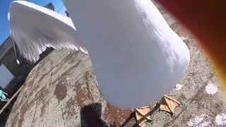Укравшая видеокамеру чайка засняла Атлантику и сделала селфи