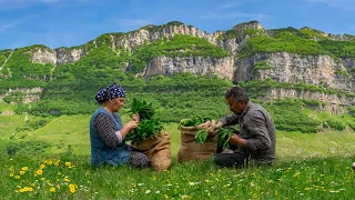 Wild Garlic Harvest: Fresh Ingredients for Delicious Stuffed Bread!