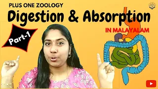 Digestion & Absorption for NEET BIOLOGY in MALAYALAM | Plus One Zoology | Part-1