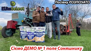 ❗СІЄМО Соняшник разом із ЕЛІТА СЕЛЕКТ🤝 75 тисяч на ГА🔞 Демо Поле🌻 Трактор ЮМЗ сівалка KUHN 🔥