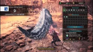 Monster Hunter: World Hight Rank Tobi-Karachi rush 2:48