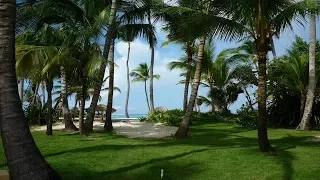 Bavaro Princess All Suites Resort, Spa & Casino 5*. Всё включено. Обзор