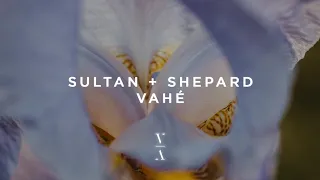 Sultan + Shepard - Vahé