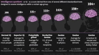 Online IQ tests. What are the realities?