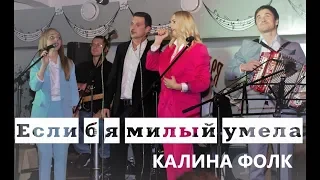 НОВИНКА.Группа "Калина Фолк" - Если б я милый умела...