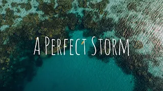 A Perfect Storm - Ardie Son (CINEMATIC MUSIC)