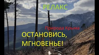 Остановись, мгновенье! Природа горного Крыма. РЕЛАКС
