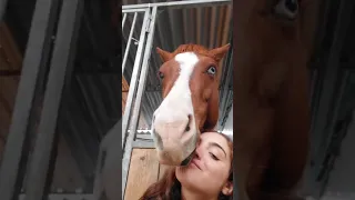 his face says everything 😂 #funny #funnyvideo #horseriding #horses #funnyhorse #mountedgames #viral