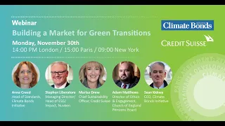 Building a Market for Green Transition