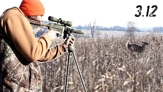 Hunting Michigan Gun Season DURING HARVEST!!