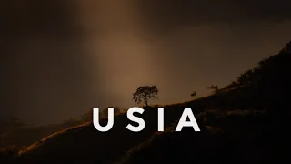 U S I A