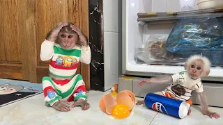 Monkey SinSin & ZiZi were worried when they accidentally dropped an egg while looking for food