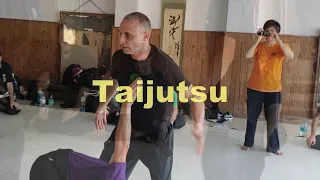 seminario bujinkan 2019