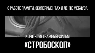 Стробоскоп (реж. Евгения Дуплякина) | короткометражный фильм, 2016
