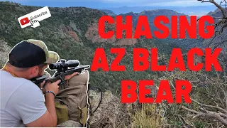 Black Bear Hunt in Arizona