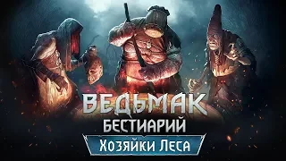 The Witchеr 3. Бестиарий: Ведьмы Кривоуховых топей