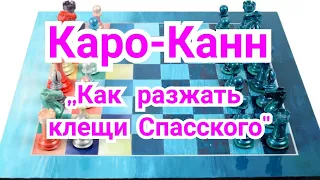 21)Лекция.Каро-Канн. Классика.   Любоевич--Карпов.0-1. Линарес, 1981г.,,Как разжать клещи Спасского"