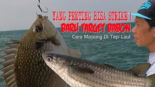 Yang Penting Bisa Strike ! Baru Target Babon : Cara Mancing Belanak EK, Baronang Di Tepi Laut