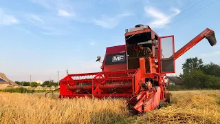 Уборка ячнміня 2021 Комбайном MASSEY FERGUSON 440