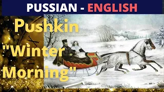 Pushkin/Пушкин Зимнее Утро/#poetry #pushkin #пушкин