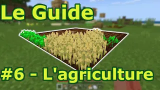 #6 L'agriculture - Nouveau Guide pour bien débuter à Minecraft - Console et Windows 10 Édition