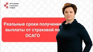 Реальные сроки получения страховой выплаты по ОСАГО