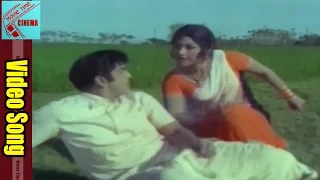 Pilloyi Jagratha Video Song || Datta Putrudu  Movie || ANR, Vaani Sri || MovieTimeCinema