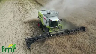 Geringhoff Truflex in canola, welcome to the Danish way of farming...