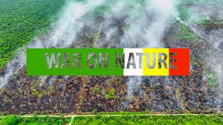 War on Nature - Sumatra