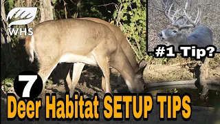 #1 Deer Parcel Tip: Connecting Buck Hotspots