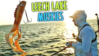 Early Fall Leech Lake Muskies - Day 1