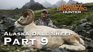 2018 Alaska Dall Sheep with Randy Newberg (Part 9 of 9)