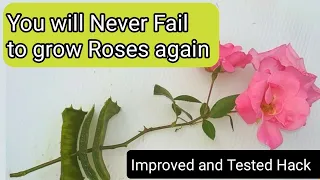 You will Never Fail to grow ROSES again