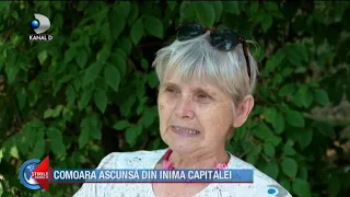 Stirile Kanal D (22.08.) - Comoara ascunsa din inima capitalei, tot mai vizitata! | Editie de pranz