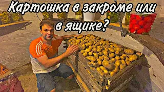 Хотел сделать закрому, а в итоге получился ящик. Закупили картофель на зиму.